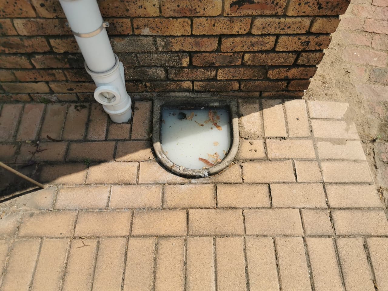 Shower Door Installation